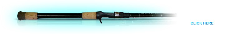 Custom Angle Fishing Rods